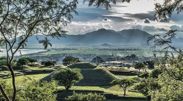 �����������:������,�������,��������