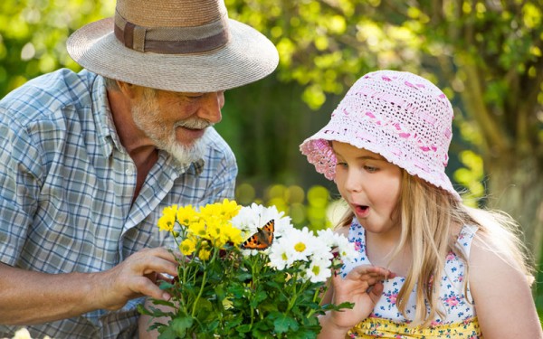 ���� ���� � ���������� �������