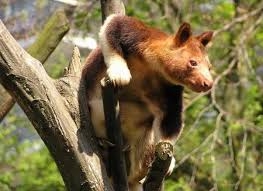 �������� �������: ������� ��� ���, ��� ������ �� �������