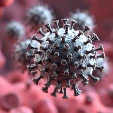 ������ � ���������� ����: ��� ������ �������� �� ���������